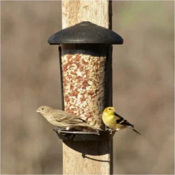 Perky-Pet® Wall And Post Mount Wild Bird Feeder