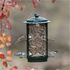 Squirrel-X LX1 Squirrel-Resistant Bird Feeder With Spring-Loaded Perches - 4.2 Lb