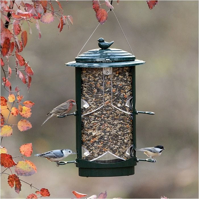 Squirrel-X LX1 Squirrel-Resistant Bird Feeder With Spring-Loaded Perches - 4.2 Lb