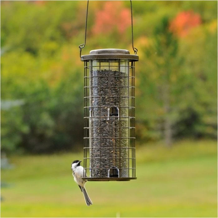 Perky-PetĀ® Squirrel Stumper Wild Bird Feeder - Image 9