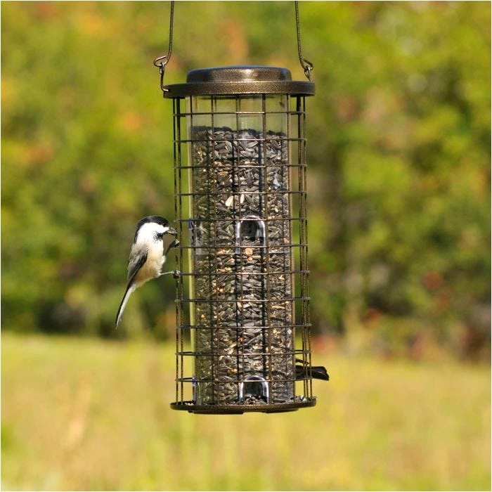 Perky-PetĀ® Squirrel Stumper Wild Bird Feeder