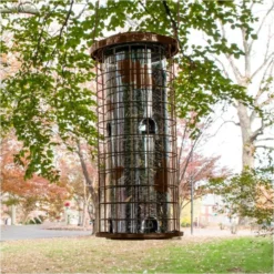 Perky-Pet® Brass Squirrel Stumper® Bird Feeder