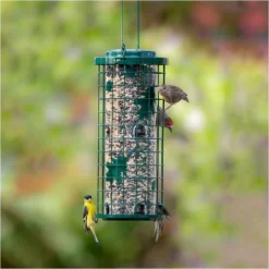 Perky-Pet® Squirrel Stumper® Bird Feeder