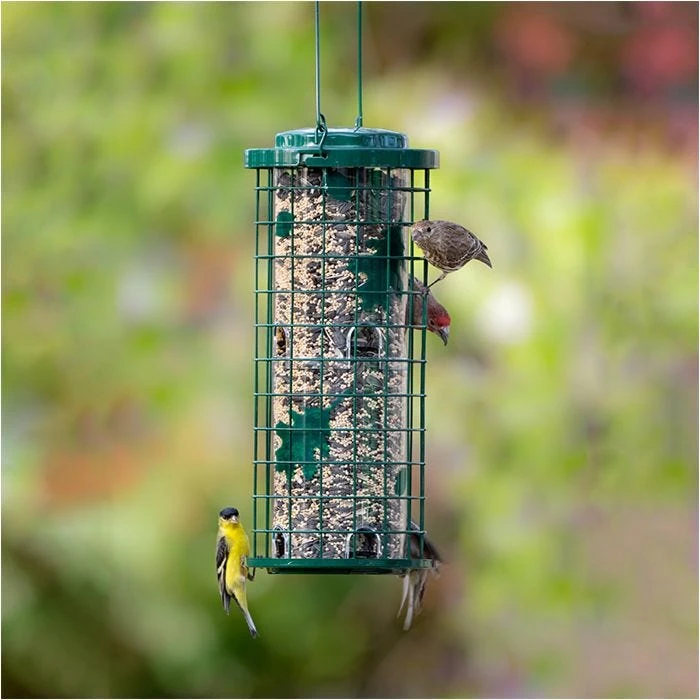 Perky-Pet® Squirrel Stumper® Bird Feeder