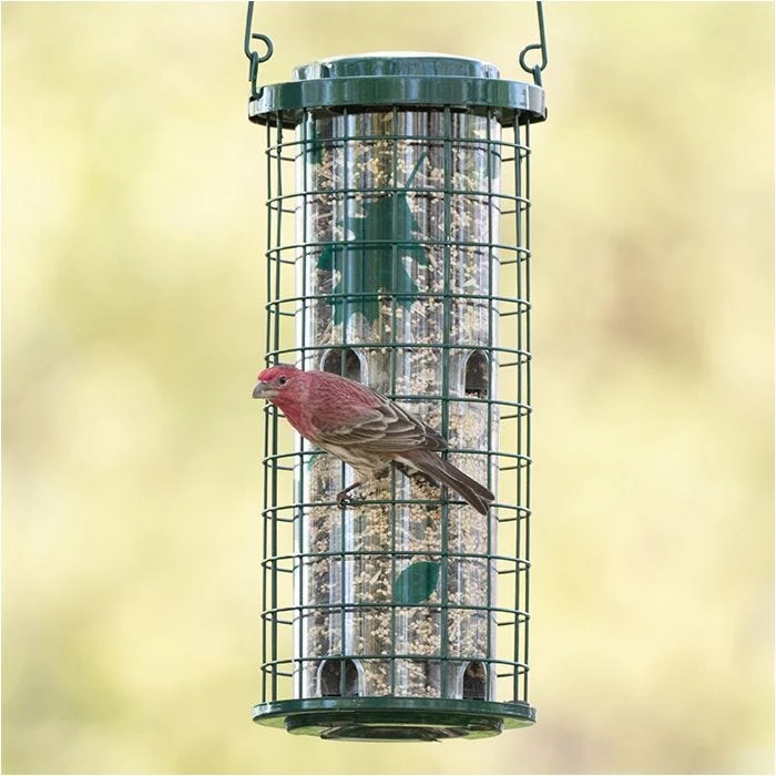 Perky-Pet® Squirrel Stumper® Bird Feeder - Image 8