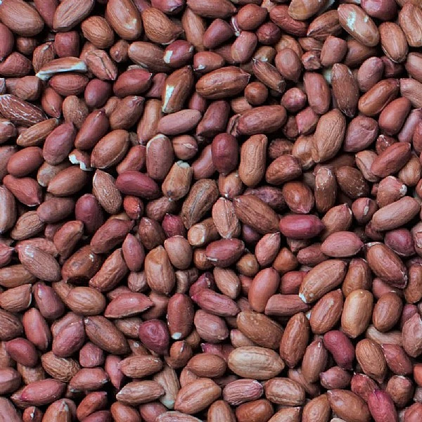 Henry Bell Peanuts For Wild Birds 12.55kg - Image 2