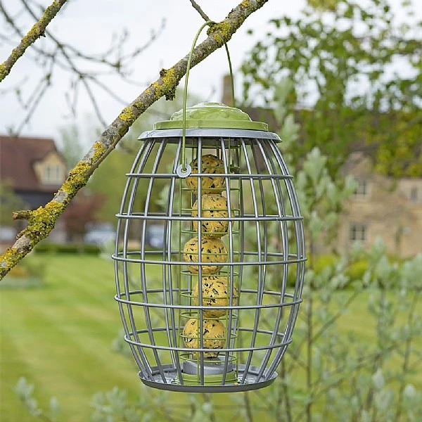 Chapelwood Ultra Squirrel Proof Suet Ball Feeder - Image 2