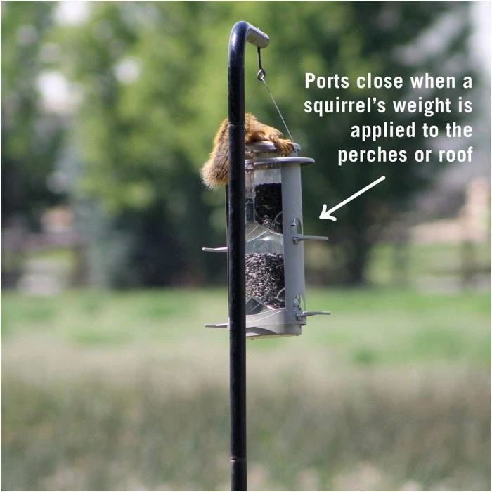 Squirrel-X X1 Squirrel-Resistant Bird Feeder With Spring-Loaded Perches - 4.2 Lb - Image 4