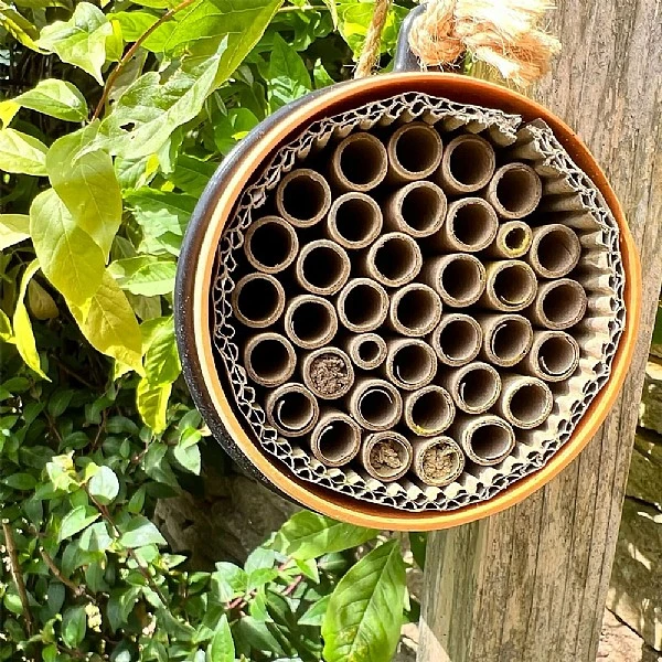 Wildlife World Eco Bee Nester - Image 2