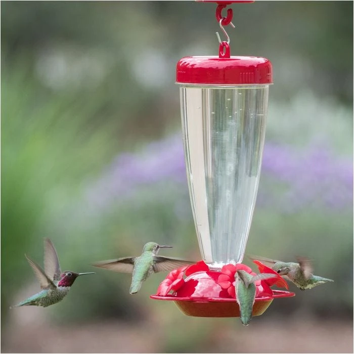 Perky-Pet® Red Petunia Top Fill Plastic Hummingbird Feeder - Image 4