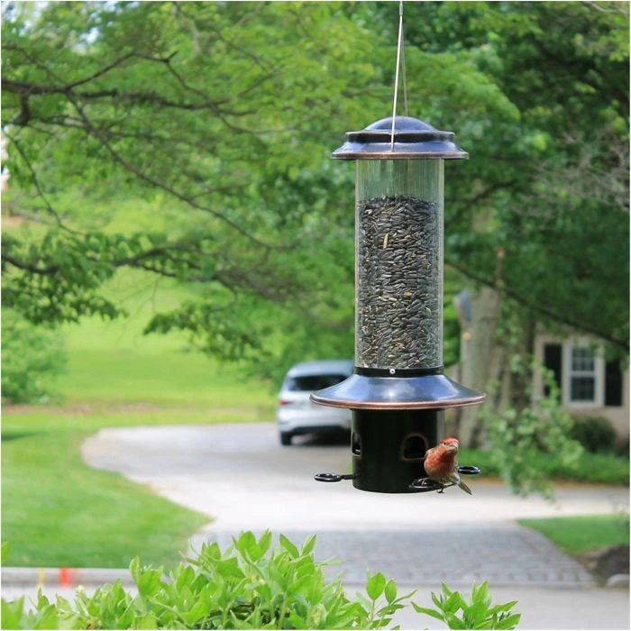 Squirrel-X MX5 Squirrel-Resistant Bird Feeder With Spring-Loaded Perches - 3.4 Lb