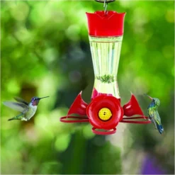 Perky-PetĀ® Pinch-Waist Glass Hummingbird Feeder - 8 Oz Nectar Capacity
