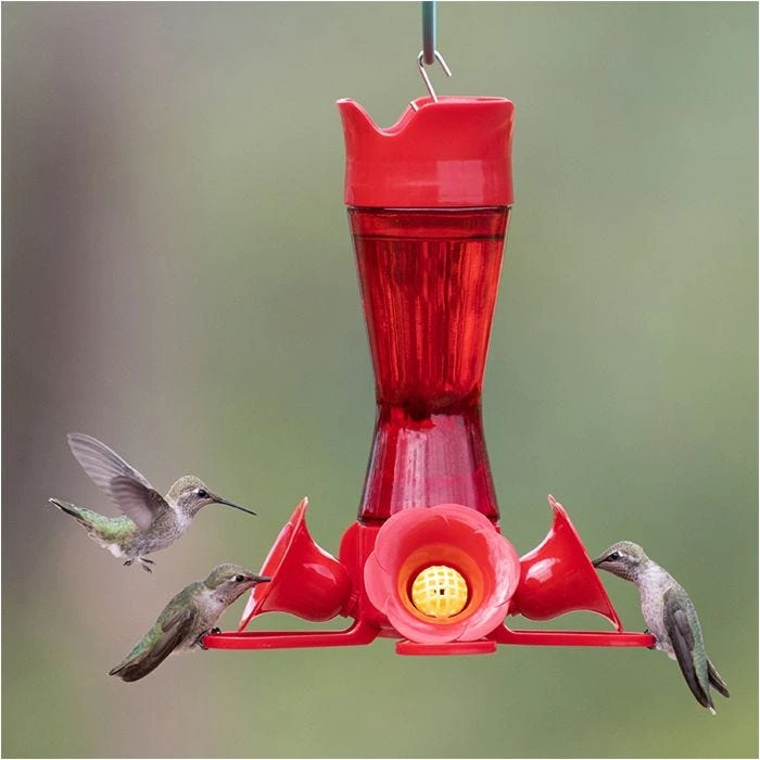Perky-Pet® Pinch-Waist Red Glass Hummingbird Feeder - 8 Oz Nectar Capacity