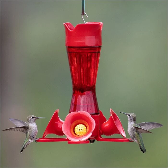 Perky-Pet® Pinch-Waist Red Glass Hummingbird Feeder - 8 Oz Nectar Capacity - Image 12