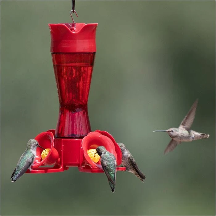 Perky-Pet® Pinch-Waist Red Glass Hummingbird Feeder - 8 Oz Nectar Capacity - Image 13