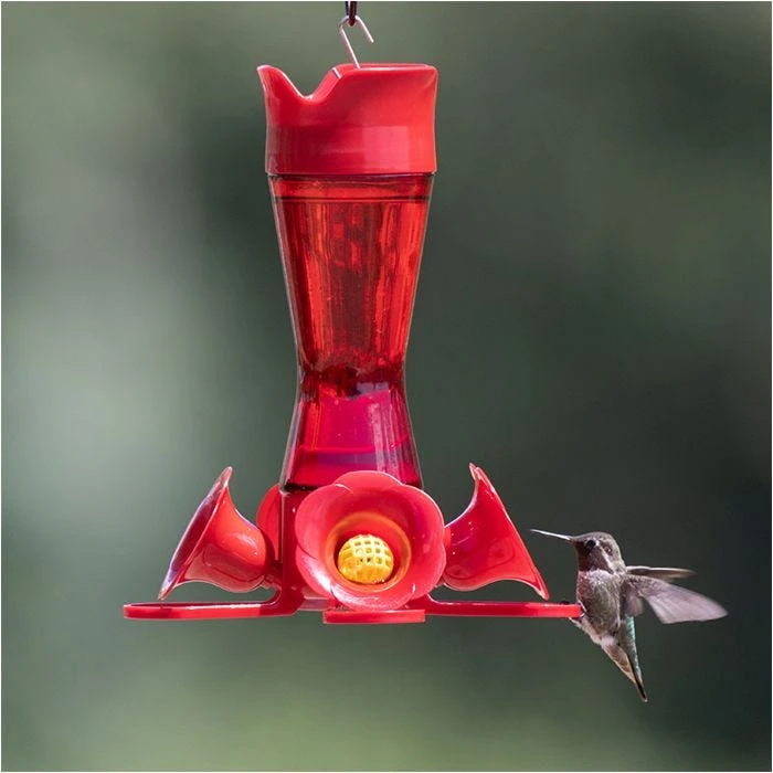 Perky-Pet® Pinch-Waist Red Glass Hummingbird Feeder - 8 Oz Nectar Capacity - Image 14