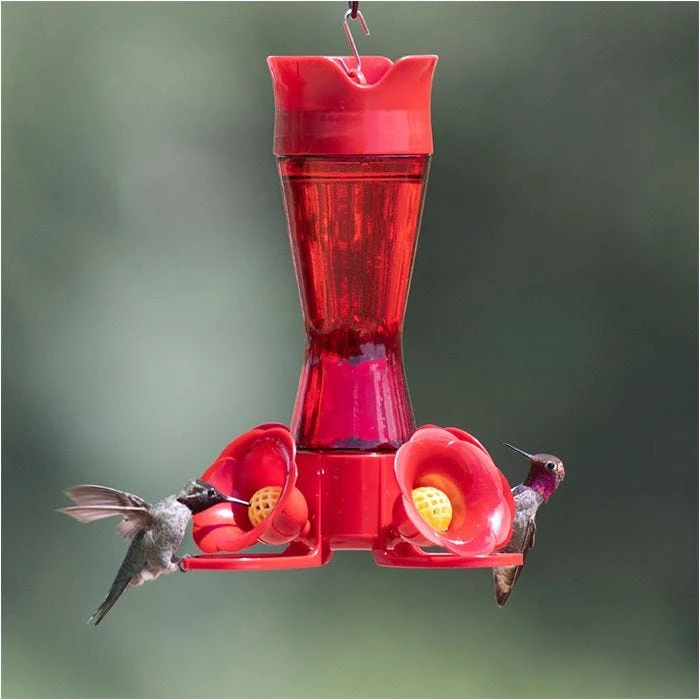 Perky-Pet® Pinch-Waist Red Glass Hummingbird Feeder - 8 Oz Nectar Capacity - Image 15