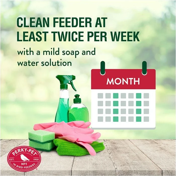 Perky-Pet® Pinch-Waist Red Glass Hummingbird Feeder - 8 Oz Nectar Capacity - Image 8