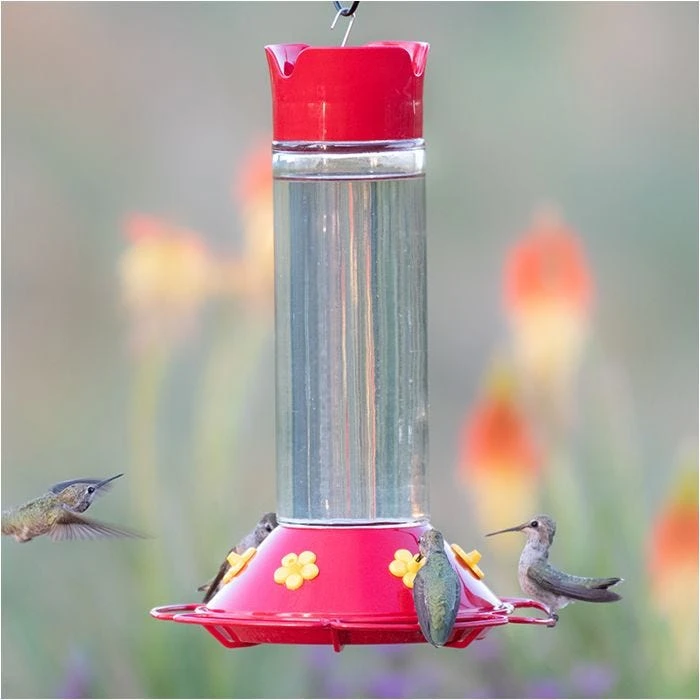 Perky-PetĀ® Our Best Glass Hummingbird Feeder