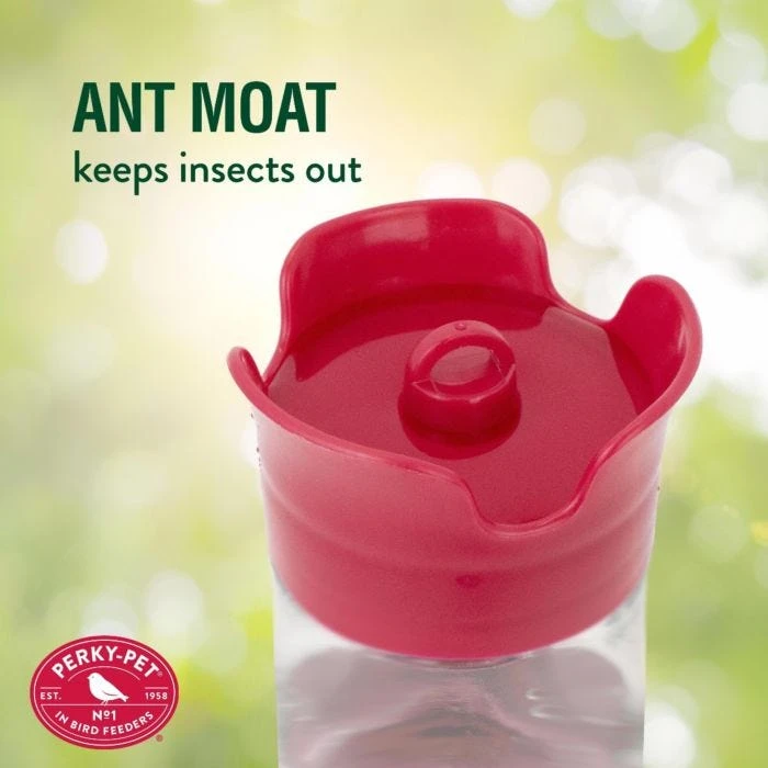 Perky-PetĀ® Our Best Glass Hummingbird Feeder - Image 6