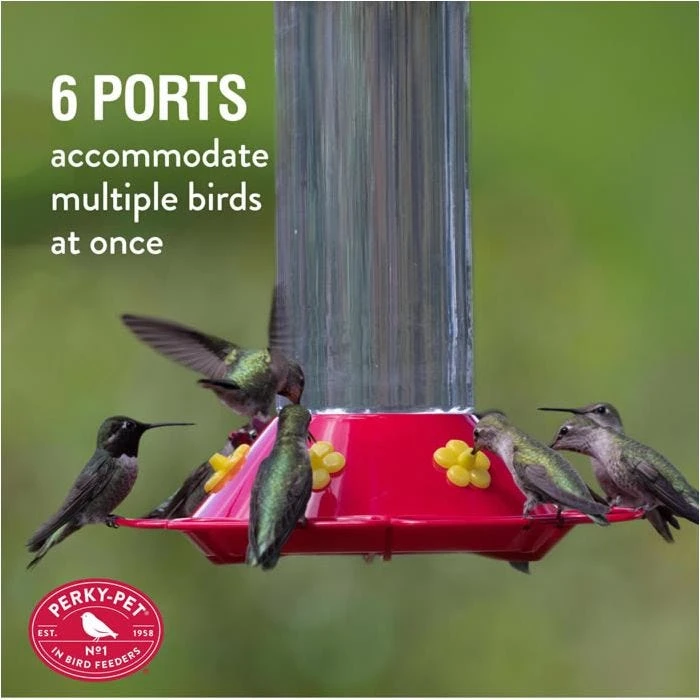 Perky-PetĀ® Our Best Glass Hummingbird Feeder - Image 7