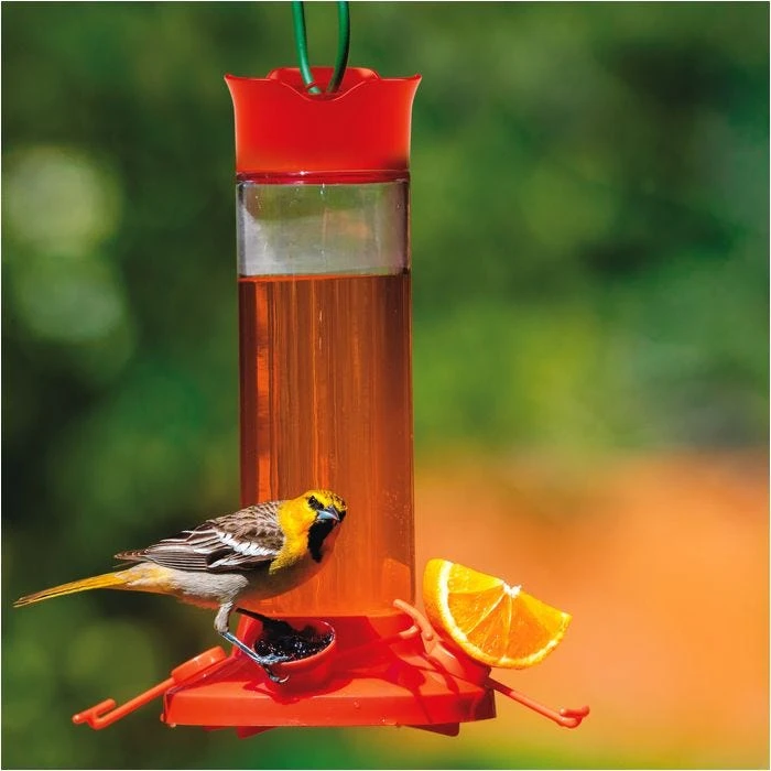 Perky-PetĀ® Fruit Trio Oriole Nectar Feeder
