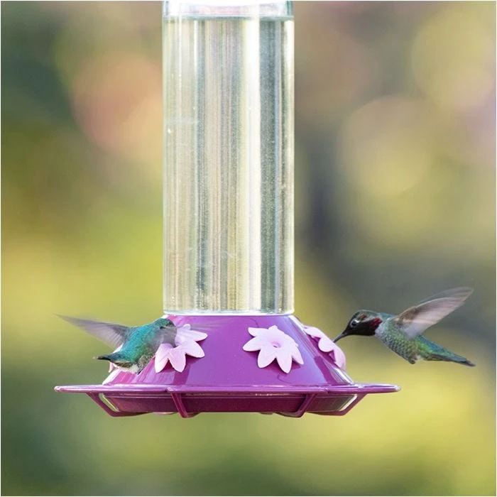 Perky-Pet® Our Best Royal Berry Hummingbird Feeder - Image 13