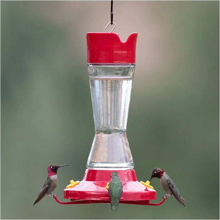 Perky-Pet® Pinch Waist Glass Hummingbird Feeder - 1 Feeder - Image 12