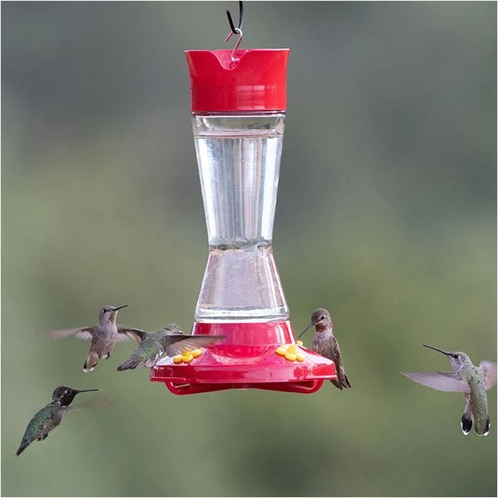 Perky-Pet® Pinch Waist Glass Hummingbird Feeder - 1 Feeder - Image 9