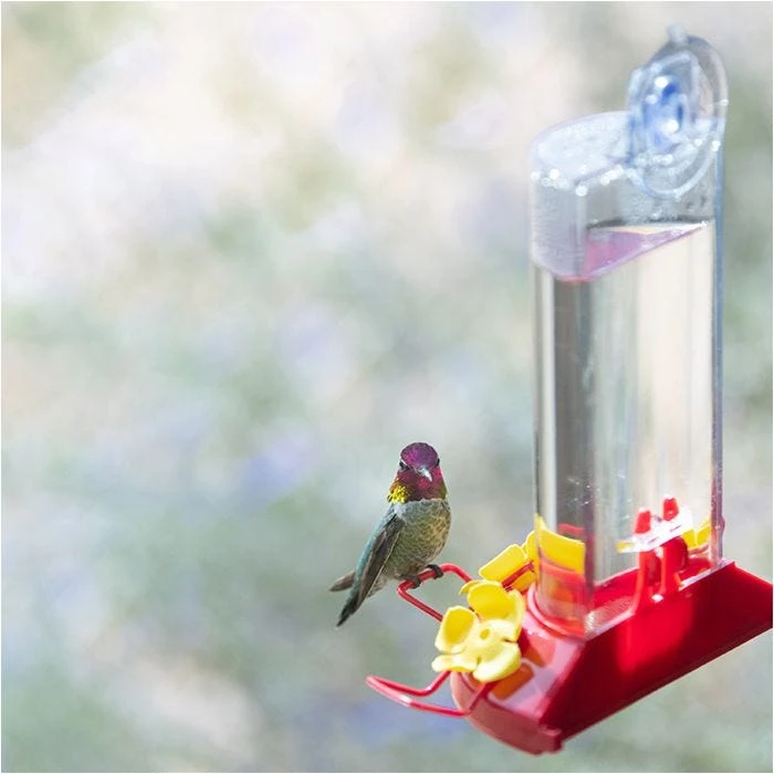 Perky-PetĀ® Window-Mount Hummingbird Feeder - Image 16