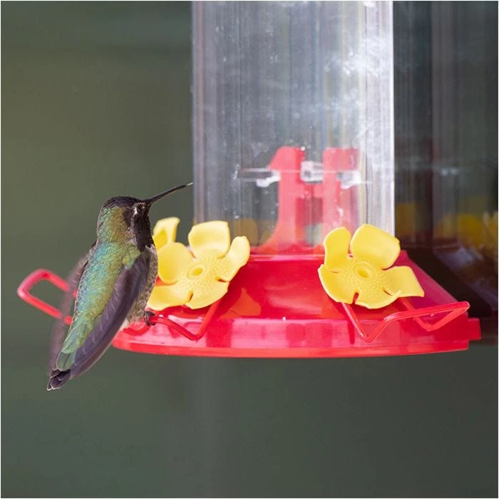 Perky-PetĀ® Window-Mount Hummingbird Feeder - Image 11