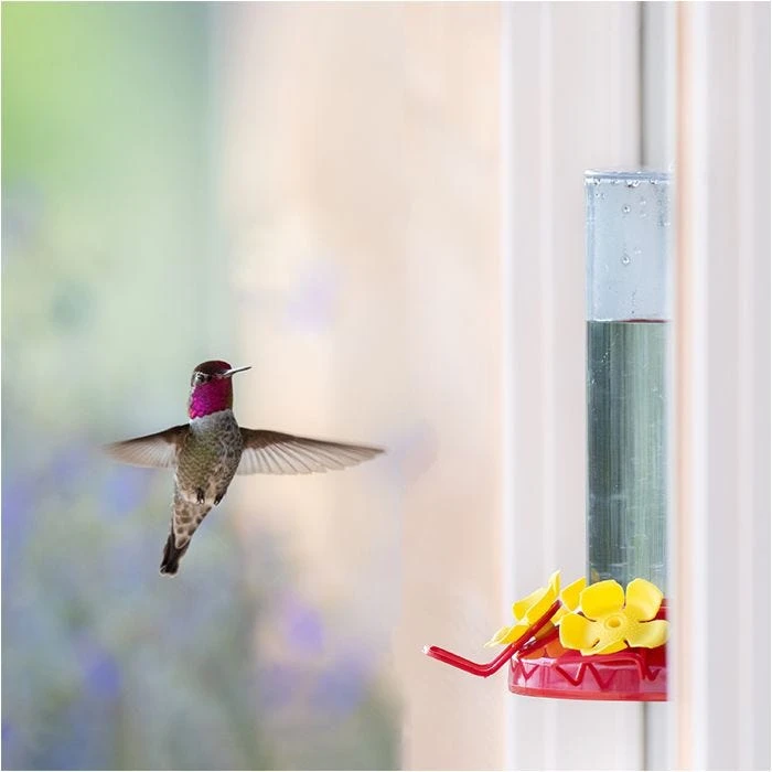 Perky-PetĀ® Window-Mount Hummingbird Feeder - Image 13