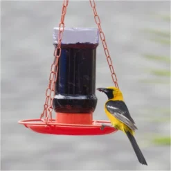 Perky-Pet® Oriole Jelly Wild Bird Feeder