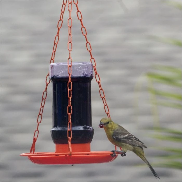 Perky-Pet® Oriole Jelly Wild Bird Feeder - Image 9