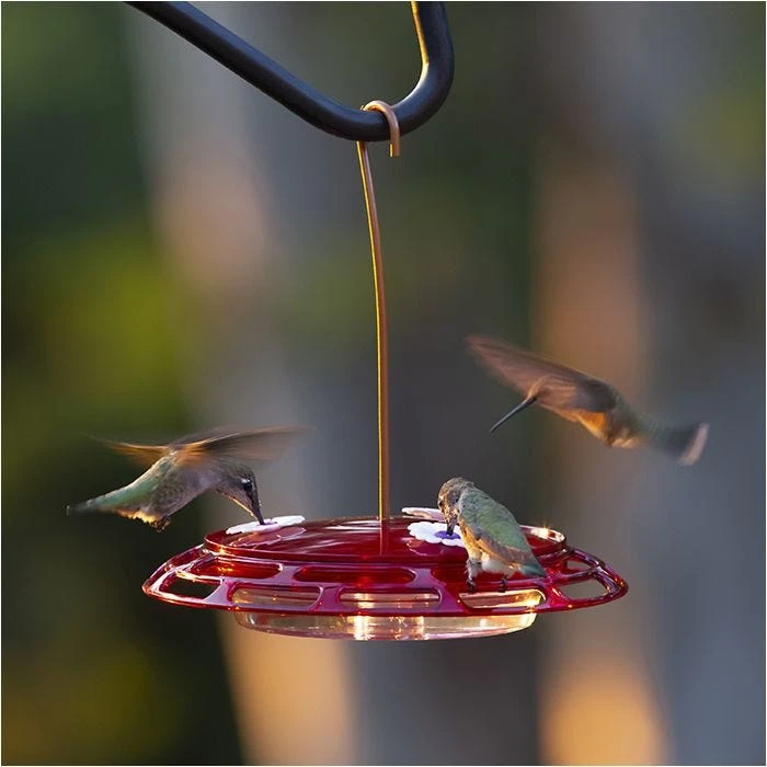 More Birds® Bird Health 3-in-1 Hummingbird Feeder - 6 Oz