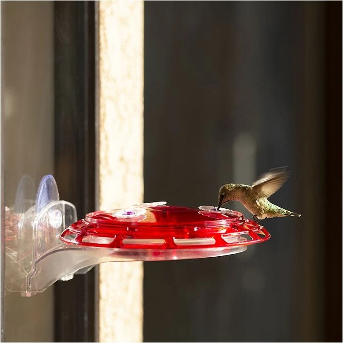 More Birds® Bird Health 3-in-1 Hummingbird Feeder - 6 Oz - Image 2