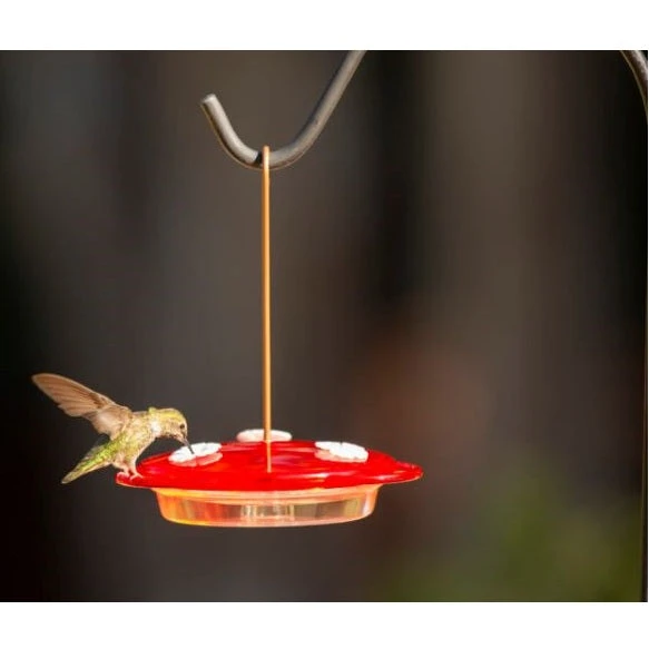 More Birds 3-in-1 Hummingbird Feeder 6 Oz. - Image 4