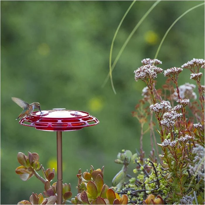 More Birds® Bird Health 3-in-1 Hummingbird Feeder - 6 Oz - Image 3