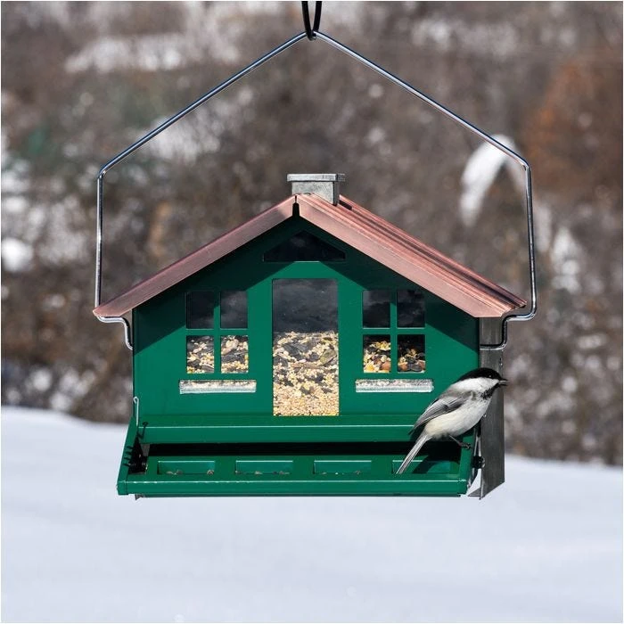 Perky-PetĀ® Squirrel-Be-Gone II Home Style Wild Bird Feeder - Image 10