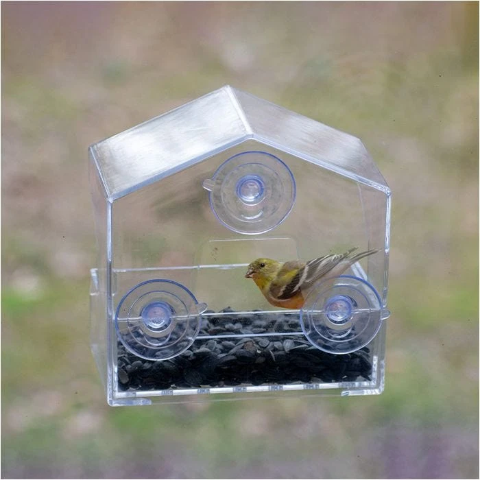 Perky-Pet® Window Bird Feeder - ½ Lb Seed Capacity - Image 17