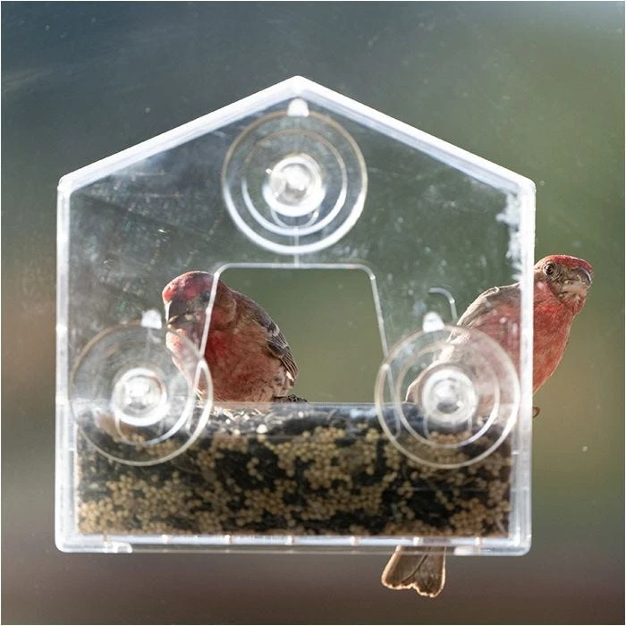 Perky-Pet® Window Bird Feeder - ½ Lb Seed Capacity - Image 10