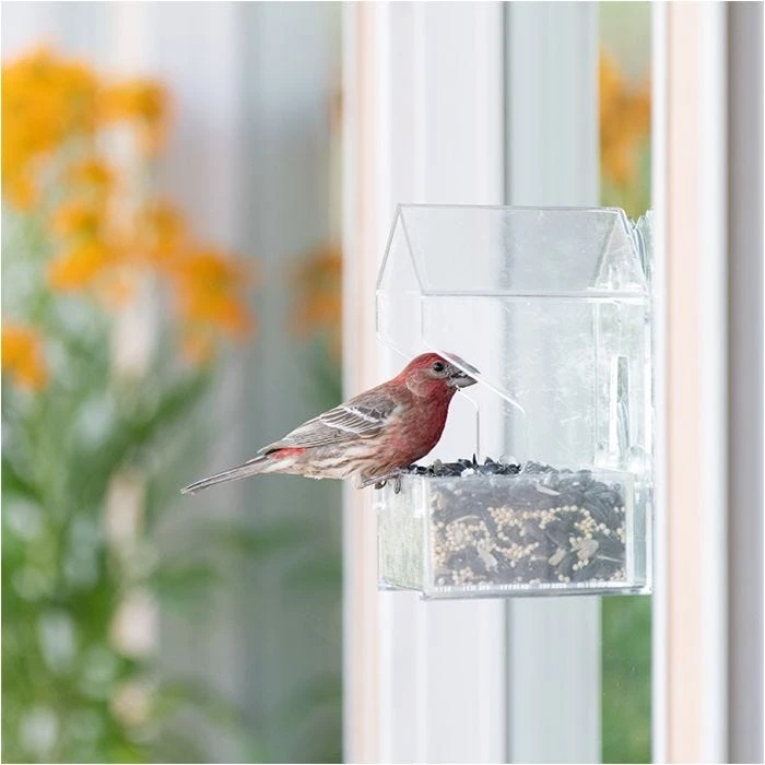 Perky-Pet® Window Bird Feeder - ½ Lb Seed Capacity - Image 16