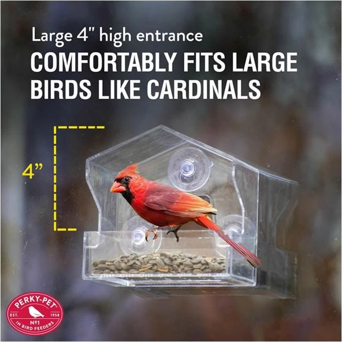 Perky-Pet® Window Bird Feeder - ½ Lb Seed Capacity - Image 5