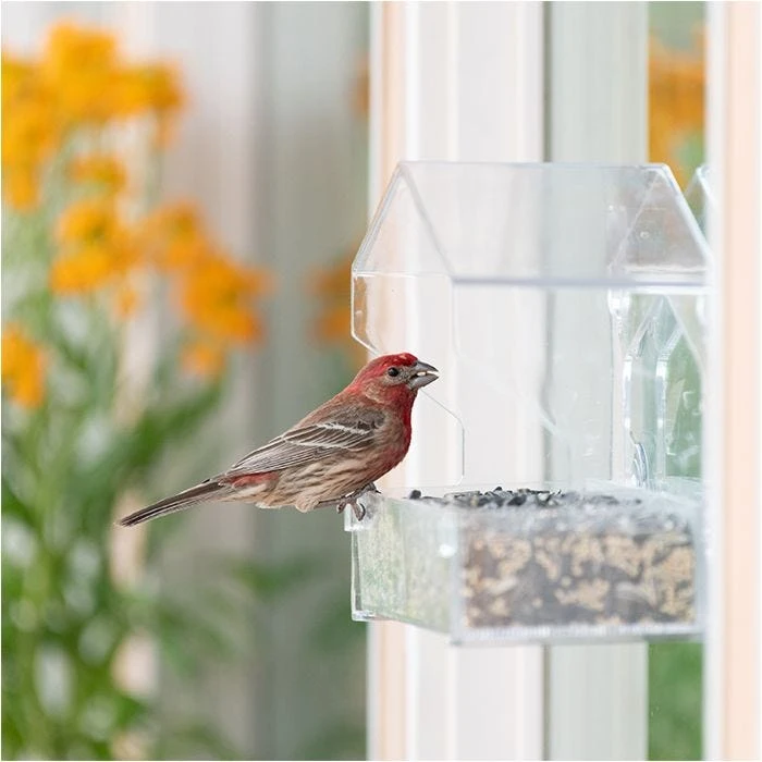 Perky-Pet® Dual-Seed Window Bird Feeder - 1 Lb Seed Capacity - Image 2