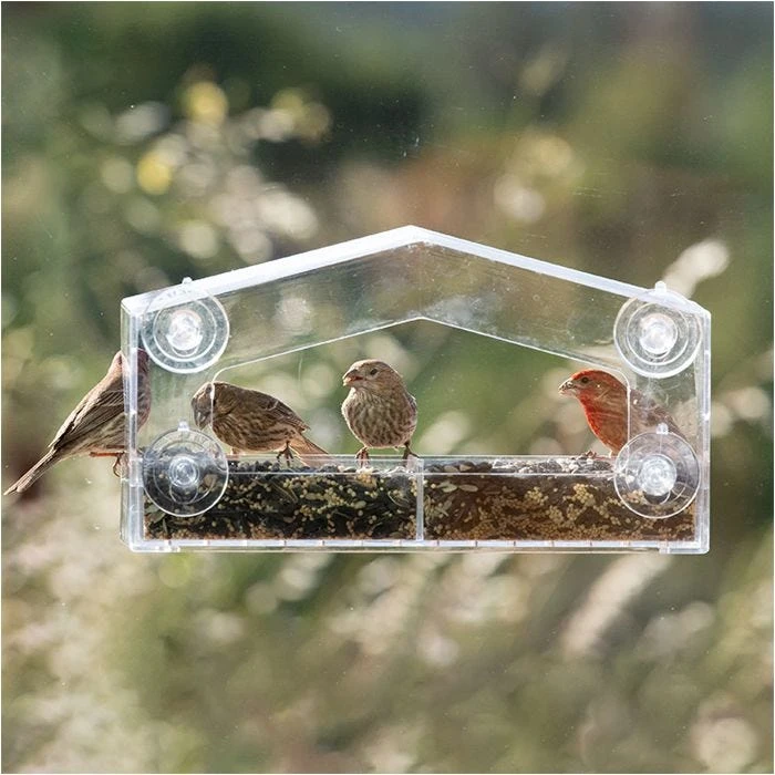 Perky-Pet® Dual-Seed Window Bird Feeder - 1 Lb Seed Capacity - Image 13