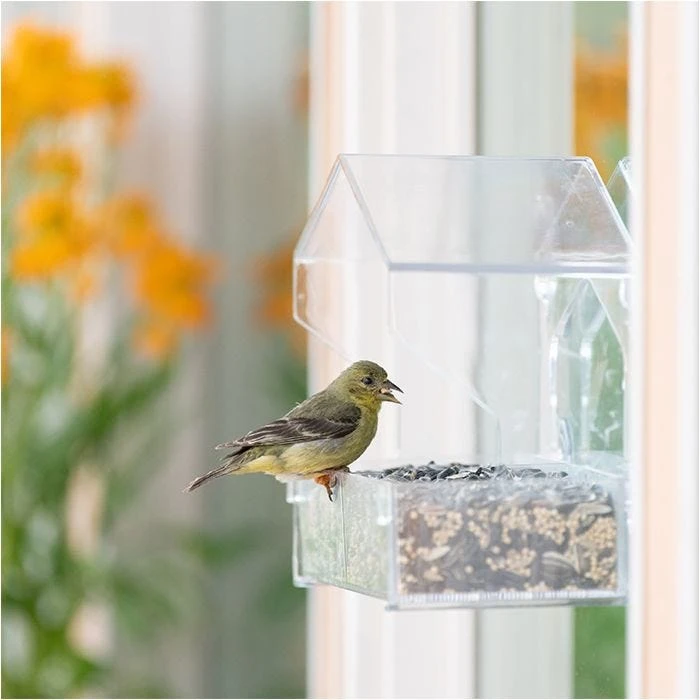 Perky-Pet® Dual-Seed Window Bird Feeder - 1 Lb Seed Capacity - Image 17