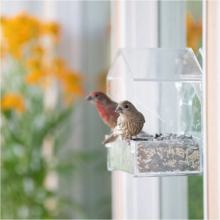 Perky-Pet® Dual-Seed Window Bird Feeder - 1 Lb Seed Capacity - Image 18
