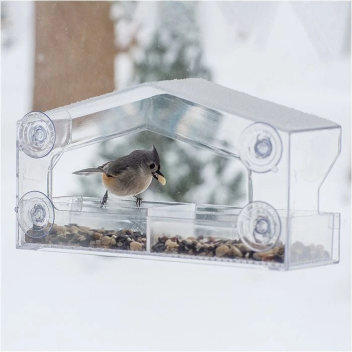 Perky-Pet® Dual-Seed Window Bird Feeder - 1 Lb Seed Capacity - Image 19