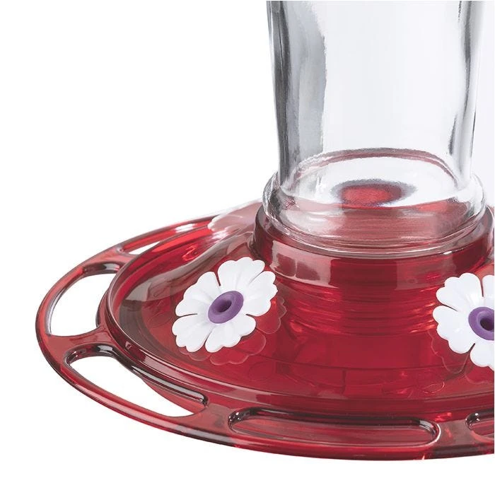 More Birds® Bird Health Ruby Glass Hummingbird Feeder With Ant Moat - 10 Oz - Image 4