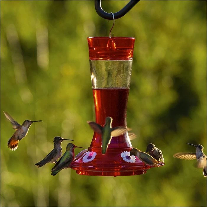 More Birds® Bird Health Garnet Glass Hummingbird Feeder With Ant Moat - 20 Oz